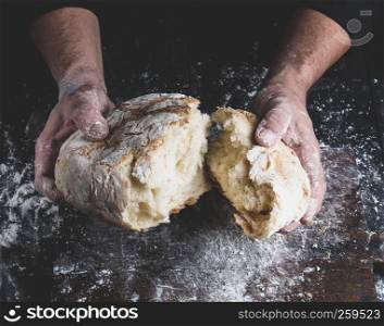 broken white bread in male hands, vintage toning