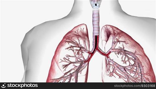 Bronchoscopy is an invasive procedure used to look inside the respiratory system. 3D rendering. Bronchoscopy is an invasive procedure used to look inside the respiratory system.