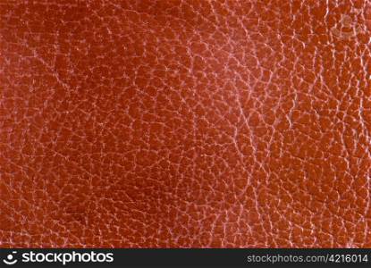 bronze leather texture, highly detailed