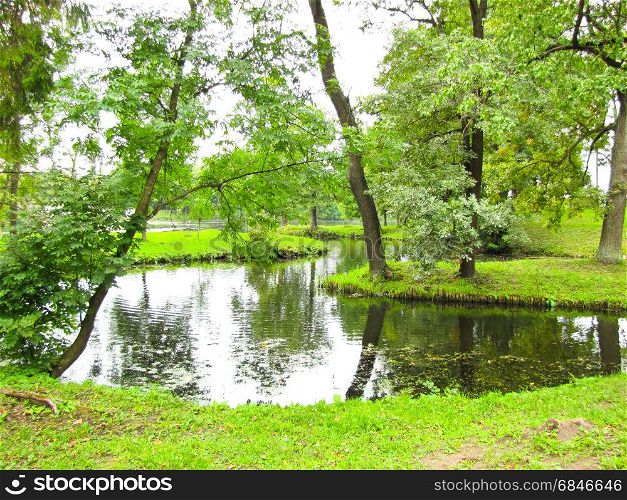 brook among the trees. landscape stream in the green forest meanders among green trees