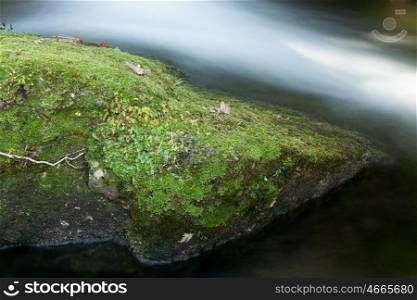 Brook and big rocks with moss in autumn