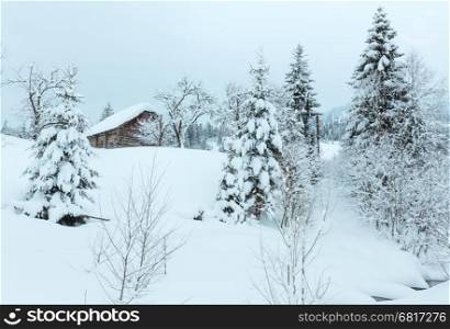 Brook in snowdrifts and wooden house on winter slope of Ukrainian Carpathian Mountains in cloudy weather.