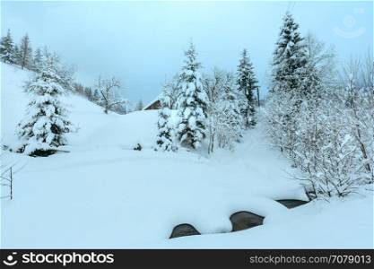Brook in snowdrifts and wooden house on winter slope of Ukrainian Carpathian Mountains in cloudy weather.