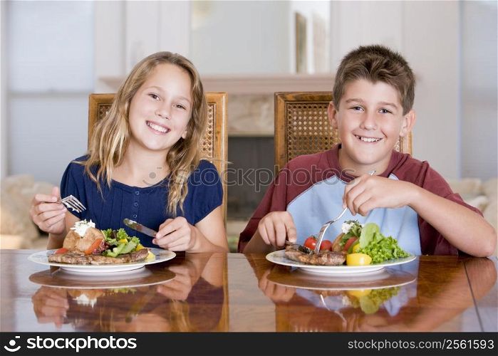 Brother And Sister Eating meal,mealtime Together