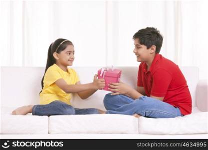 Brother and sister holding gift box