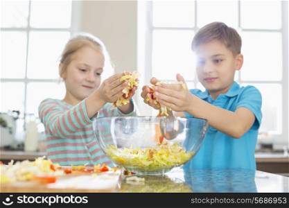 Brother and sister preparing salad in kitchen