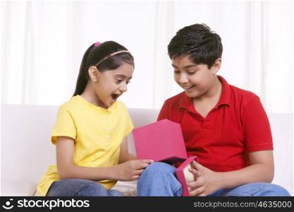 Brother and sister surprised by contents of gift box