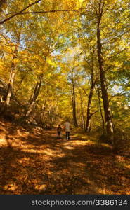 Brother and sister walking in the beautiful Fall scenery in Upstate New York.