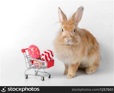 Brown adorable rabbit with colorful three easter eggs in shopping cart on white background