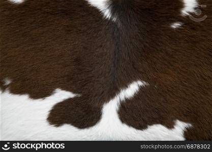 brown and white cow skin texture