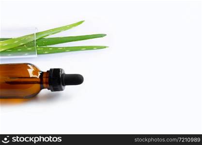 Brown bottle eye dropper with Aloe vera on white background. Copy space