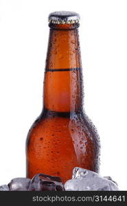 brown bottle of beer chilling on ice