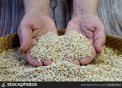 Brown bowl full of pearl barley. Hands full of Pearl barley. Healthy eating and vegetarian concept.