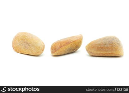 Brown cedar nuts fruit on white background