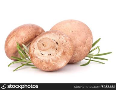 Brown champignon mushroom and rosemary leaves isolated on white background cutout