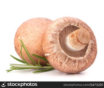 Brown champignon mushroom and rosemary leaves isolated on white background cutout