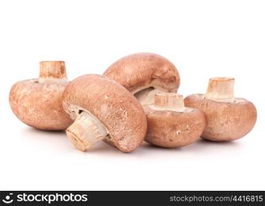 Brown champignon mushroom group isolated on white background cutout