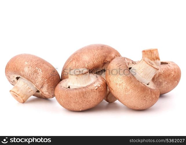 Brown champignon mushroom group isolated on white background cutout