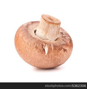 Brown champignon mushroom isolated on white background cutout