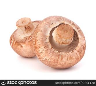 Brown champignon mushroom isolated on white background cutout