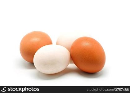 Brown chicken and white duck egg isolated on a white background