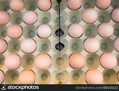 Brown chicken eggs placed in cardboard boxes at the market,view from above,outdoor.