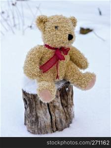 Brown children s soft toy bear  sitting on a stump in the middle of white snow