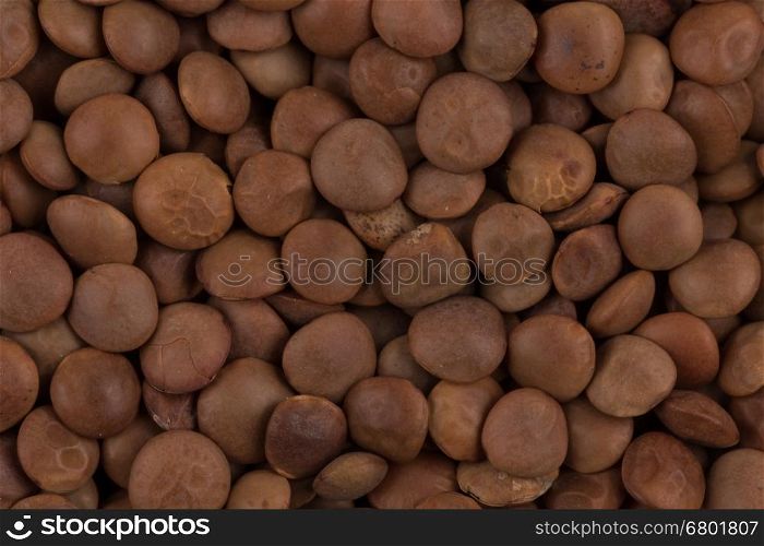 Brown close up legumes lentils for background