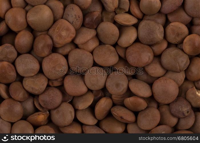 Brown close up legumes lentils for background