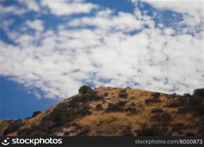 Brown dry hillside in California, tilt shift effect