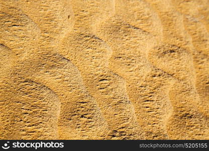 brown dry sand in sahara desert morocco africa erosion and abstract