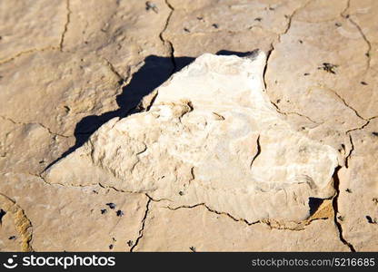 brown dry sand in sahara desert morocco africa erosion and abstract