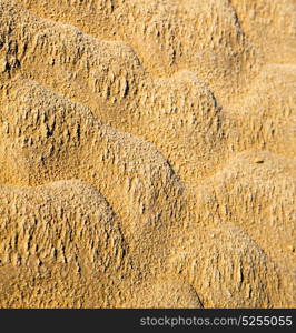 brown dry sand in sahara desert morocco africa erosion and abstract