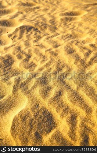 brown dry sand in sahara desert morocco africa erosion and abstract