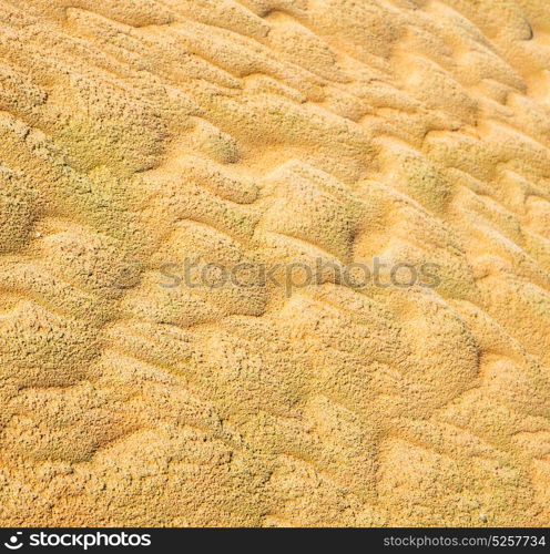 brown dry sand in sahara desert morocco africa erosion and abstract