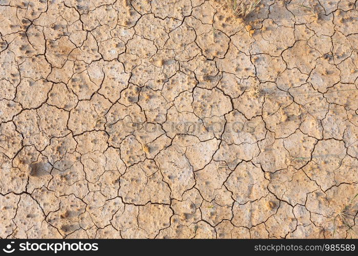 Brown dry soil or cracked ground texture background.