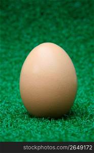 Brown egg on grass