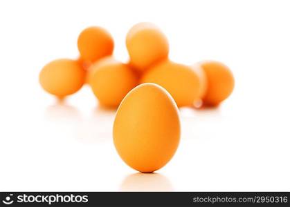 Brown egg on white - shallow depth of field