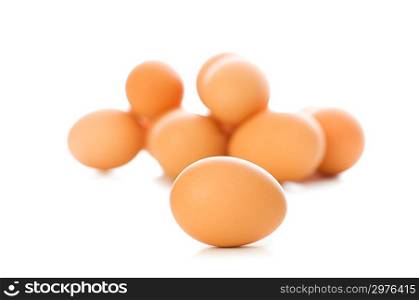 Brown egg on white - shallow depth of field