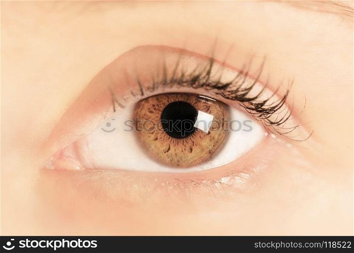 Brown eye of a young woman. Close-up. Focus on iris and pupil. . Brown eye of a young woman. Close-up. Focus on iris