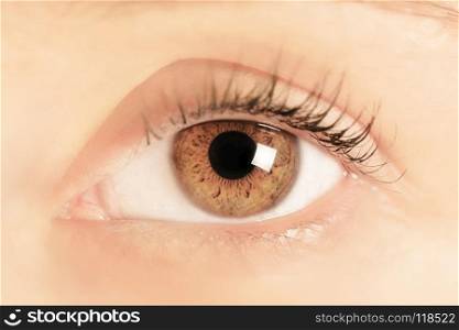 Brown eye of a young woman. Close-up. Focus on iris and pupil. . Brown eye of a young woman. Close-up. Focus on iris