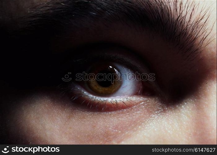 Brown eye of the young man macro