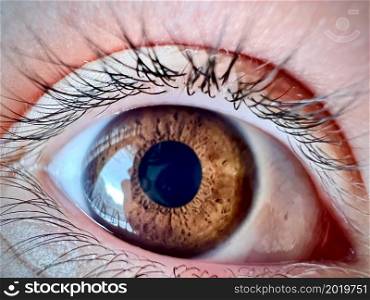 brown eye retina with reflection on it close-up