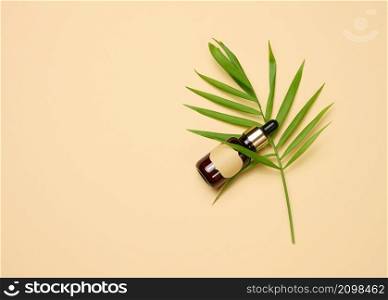 brown glass bottle with a pipette and with blank paper label stands on a brown background. Container for cosmetics, serum and oil, palm leaf