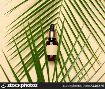 brown glass bottle with a pipette and with blank paper label stands on a brown background. Container for cosmetics, serum and oil, palm leaf