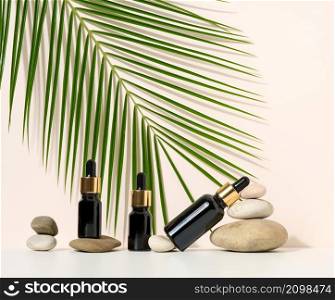 brown glass bottle with a pipette stands on a brown background. Container for cosmetics, serum and oil, green palm leaf