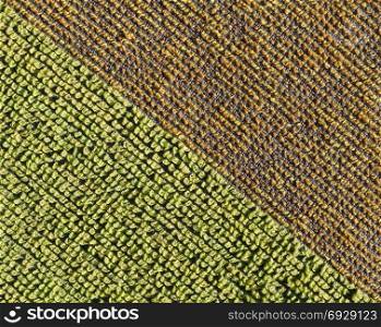 brown green fabric texture background. brown and green fabric texture useful as a background