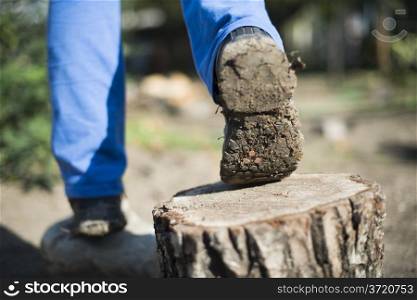 Brown hiking shoes on a stump in the forest