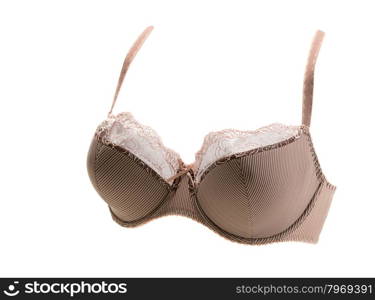 Brown lace bra in volume. Isolate on white.