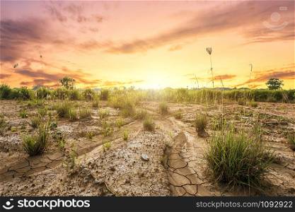 Brown Land with dry soil or cracked ground texture and grass grass on orange sky background with white clouds sunset,Global warming